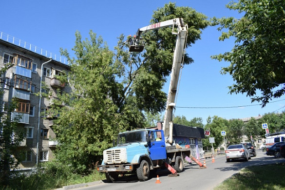В Иванове продолжают убирать поваленные 8 июля деревья